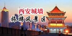 巨屌插入嫩屄红桃视频中国陕西-西安城墙旅游风景区