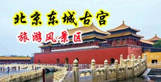 大逼AV中国北京-东城古宫旅游风景区